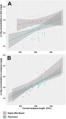 First Assessment of Mercury (Hg) Concentrations in Skin and Carapace of Flatback Turtles (Natator depressus) (Garman) From Western Australia